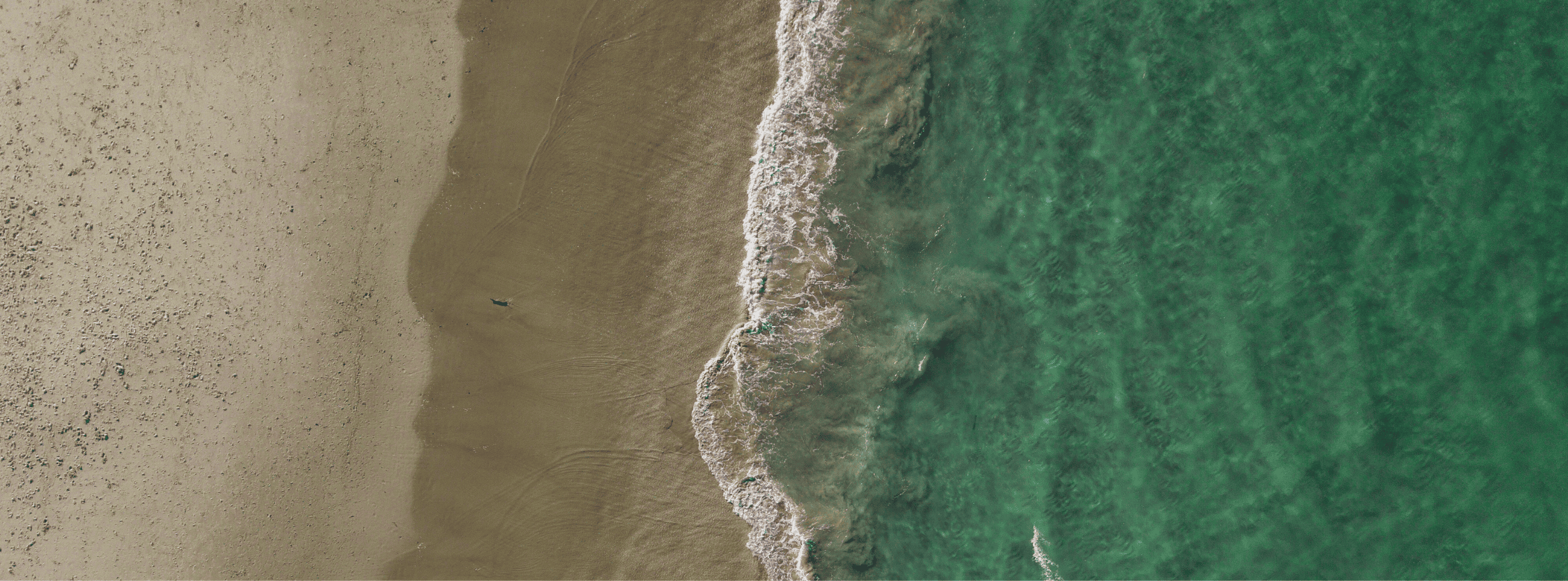 Maillots de bain pour femmes