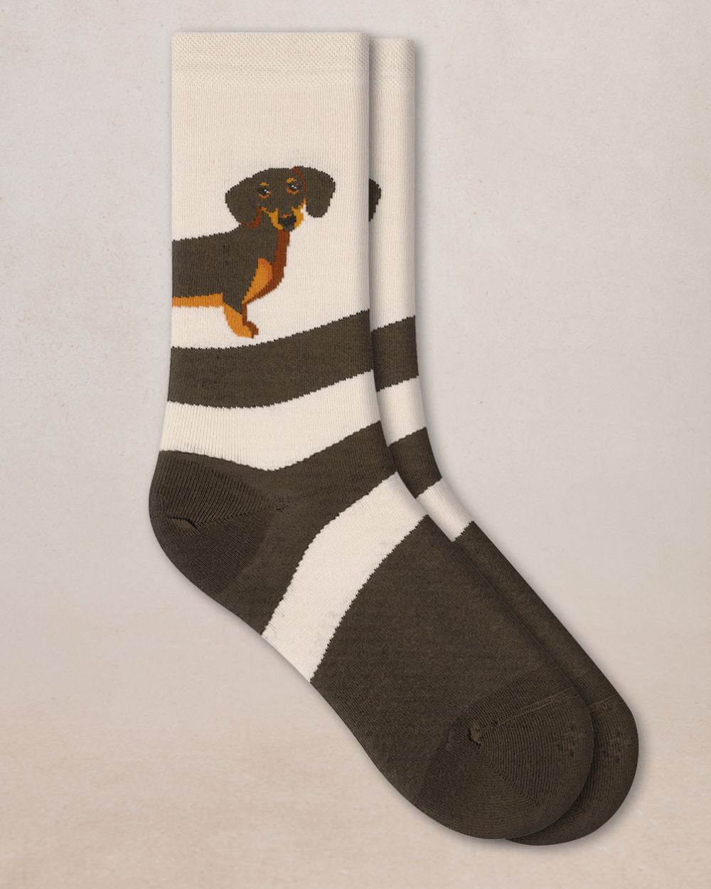 Chaussettes - Teckel