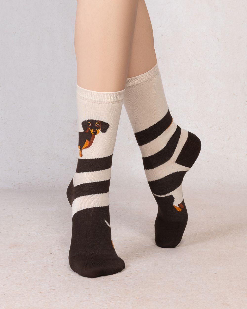 Chaussettes - Teckel
